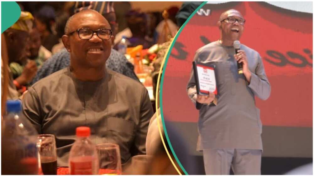 Peter Obi has been told to stay with the Labour Party and build his political career with the opposition rather than joining the PDP or forming an alliance with the former governor of Kaduna state, Nasir El-Rufai