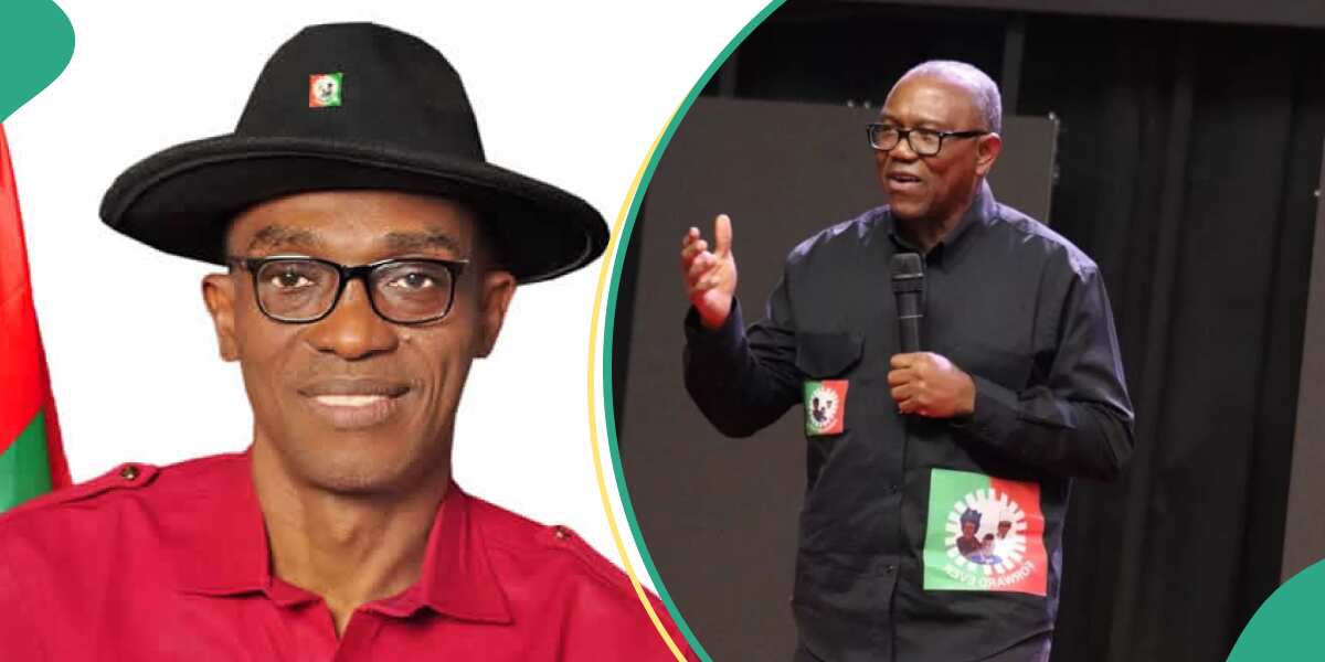 Details emerge as Labour Party chairman plans to suspend Peter Obi
