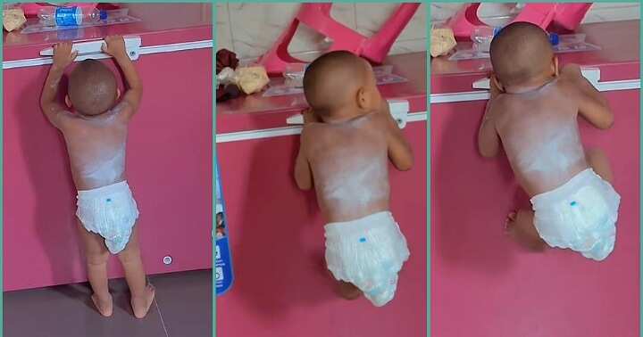 Strong little boy climbs mum's freezer in video