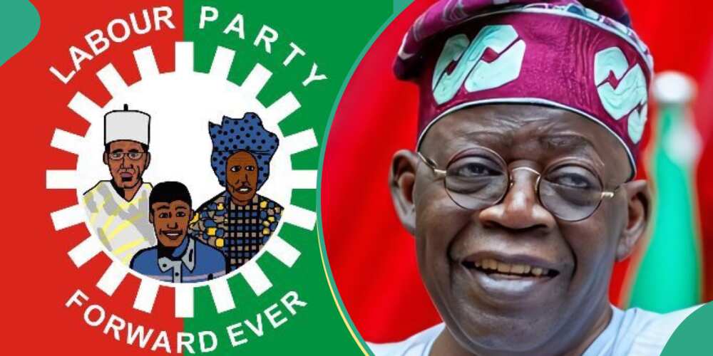 Labour Party questions Tinubu over N4.3tn palliatives