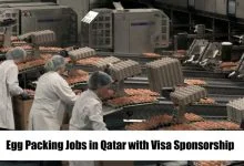 Egg Packing Jobs In Qatar With Visa Sponsorship