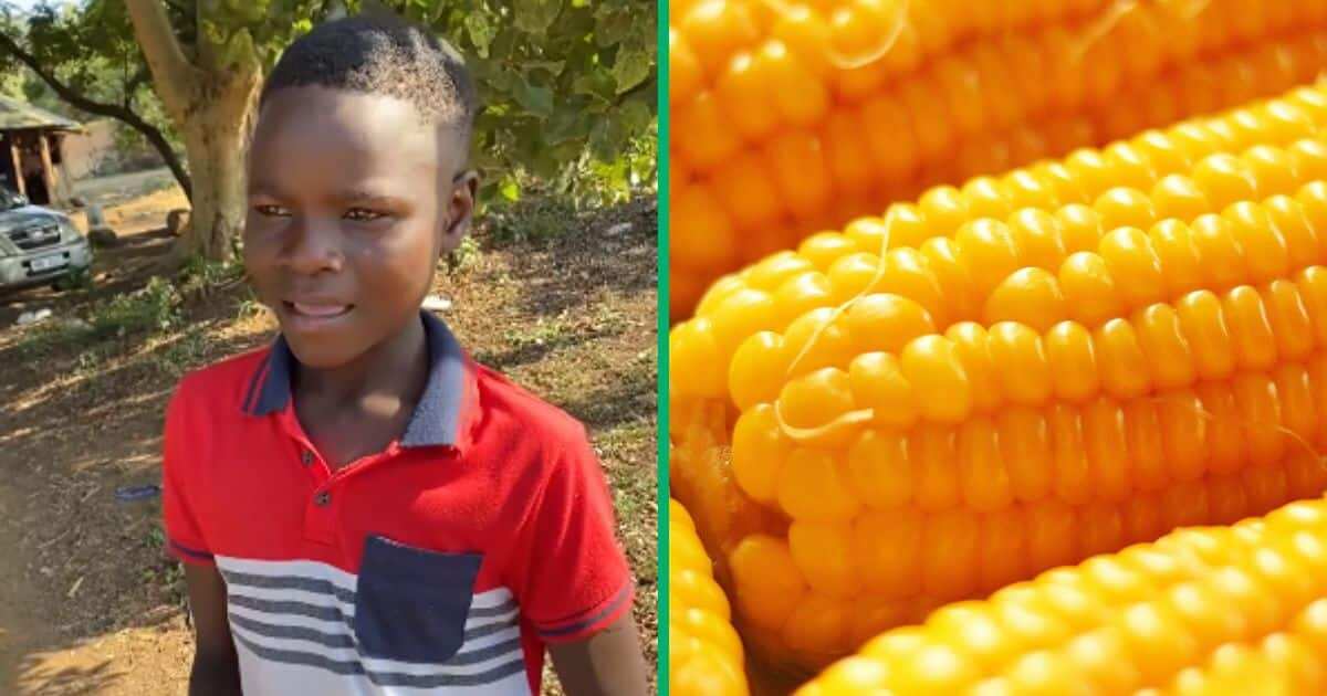 "You're really amazing": Generous man gifts street corn seller bundle of cash
