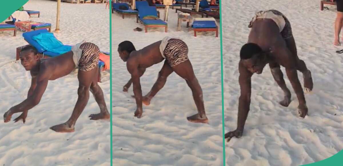 "African Has Talents": Man Walks Like Gorilla, Stuns People With Animal-Like Moves on All Fours