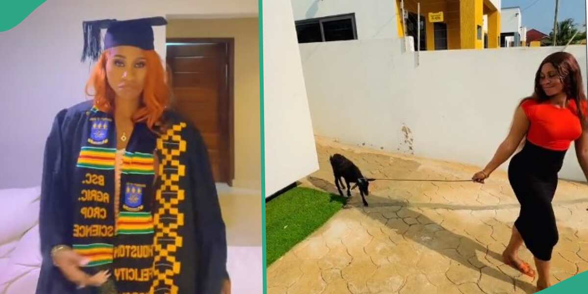 "I Was Expecting Something Huge": Lady Gets Small Goat as Gift for Graduating from School, Shows it