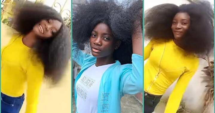 "What Do You Use?" Nigerian Lady Flaunts Her Natural Hair Online, People Bag for Her Routine