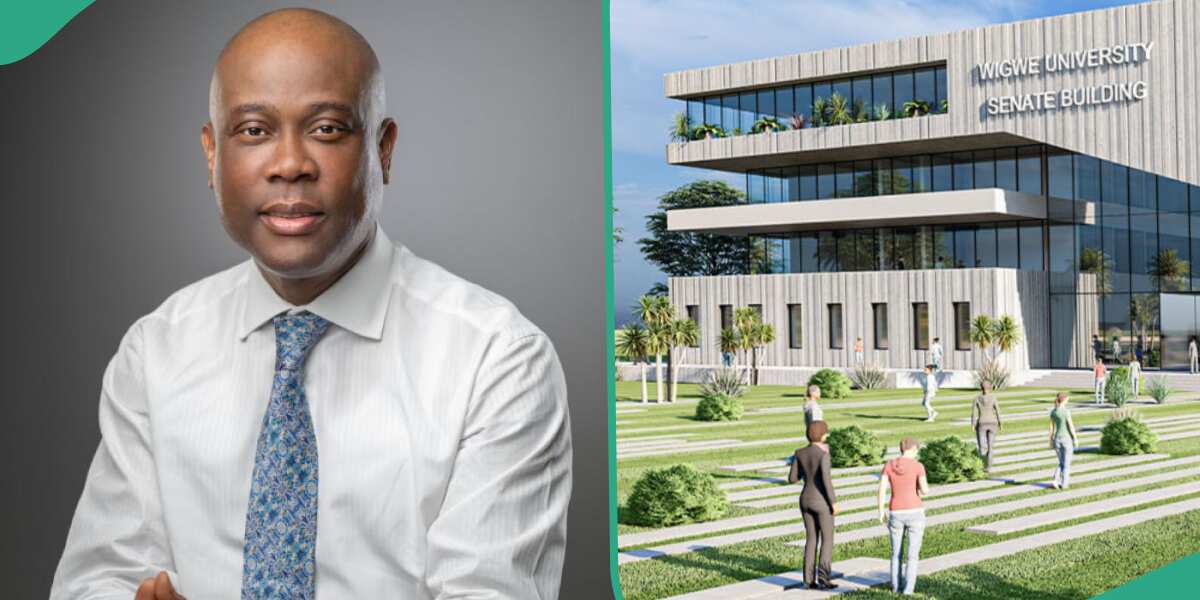 "N22.4m Per Year": Courses, Fees at Wigwe University Owned by Late Access Bank CEO Herbert Wigwe
