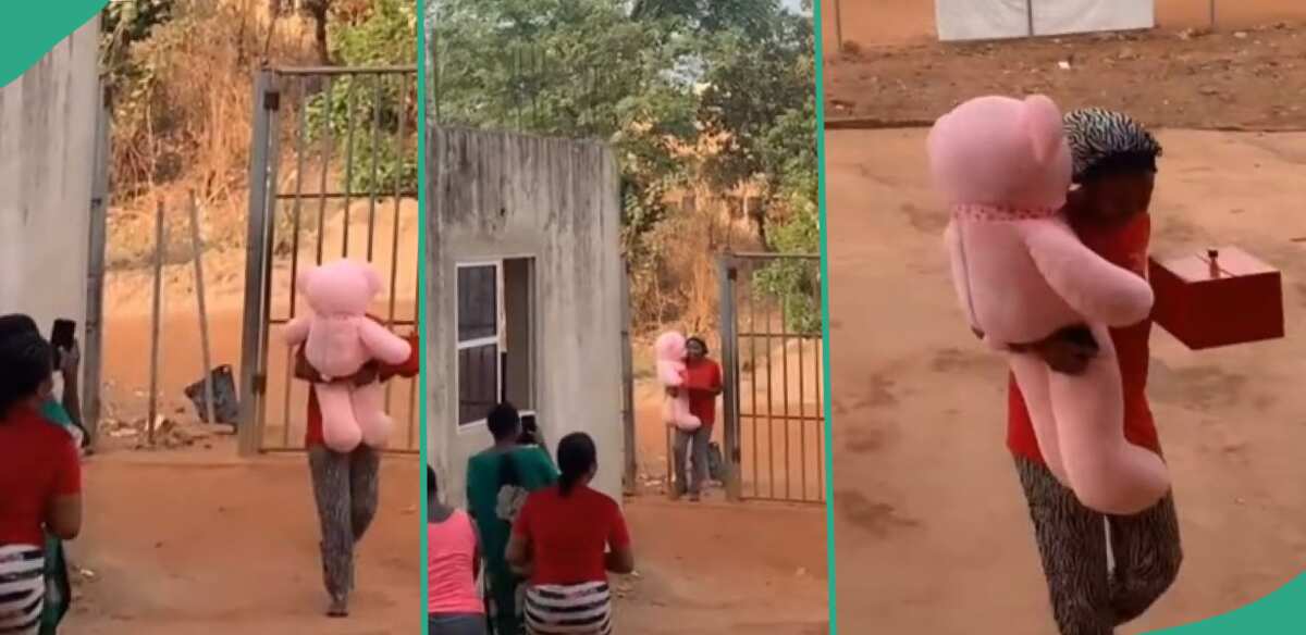 Female students scream as lady enters hostel with teddy bear and other Val gifts