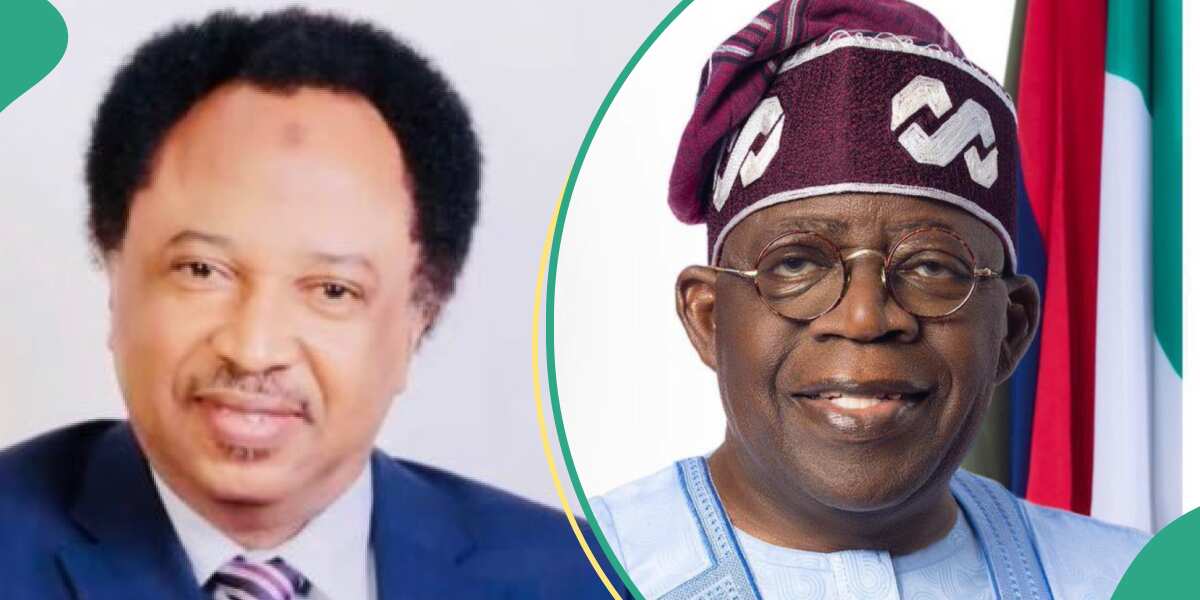 “We are now “Champion of health”: Sani's cryptic post on Tinubu's AU appointment