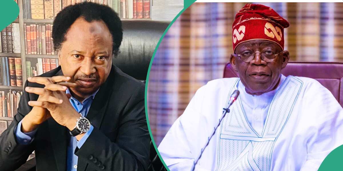 "With electricity subsidy, there is no light": Shehu Sani reacts to FG's move