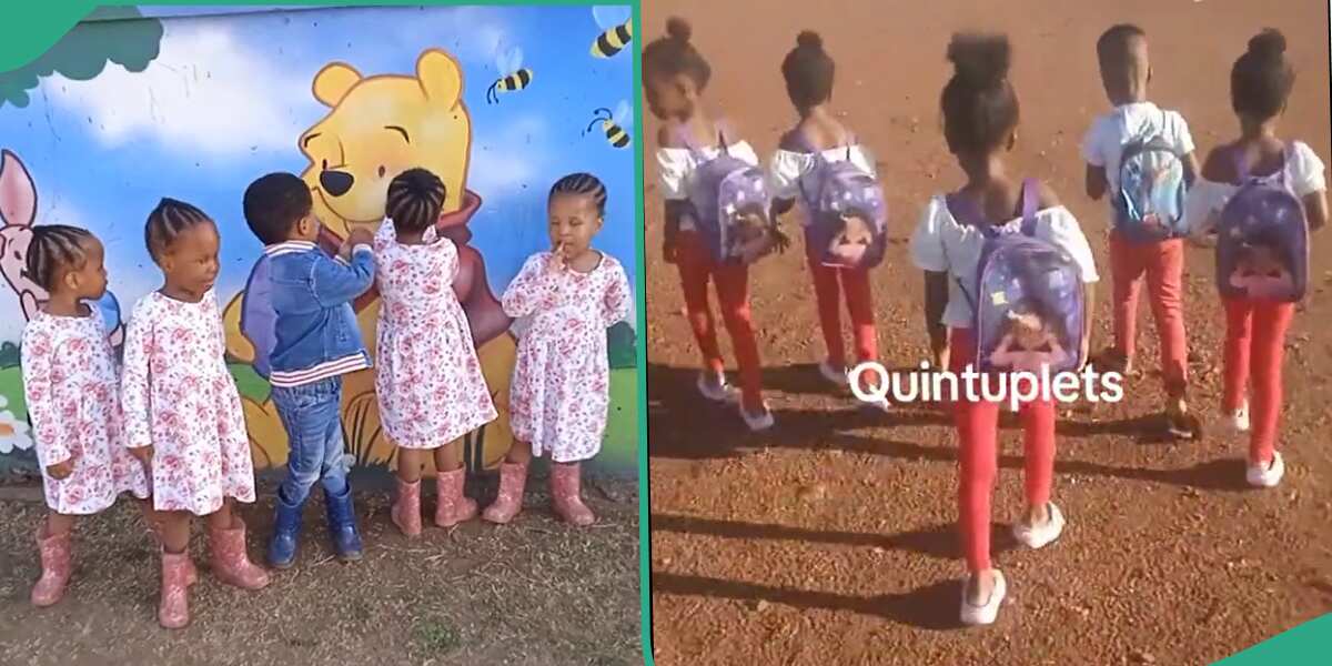 "Some People Are Blessed": Viral Video of Quintuplets Going to School Melts Hearts on TikTok