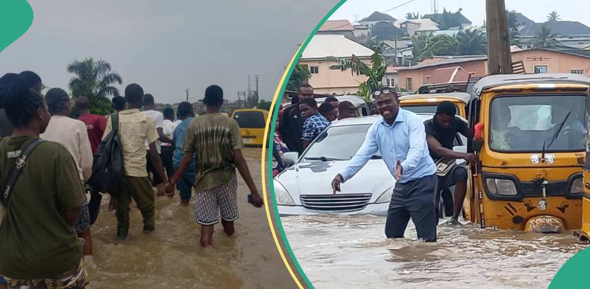 From Ayobo to Ipaja to Agege, flood ravages Lagos, residents left stranded