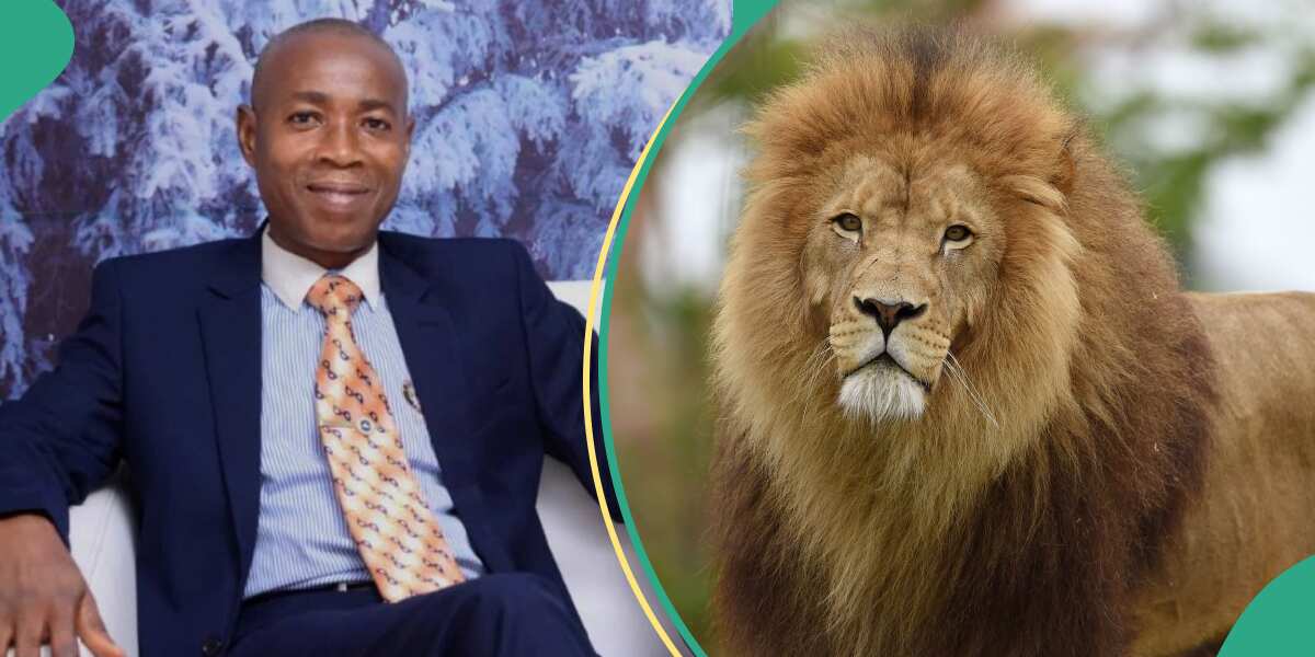 NASU Chairman speaks on how 9-year-old lion killed OAU zookeeper