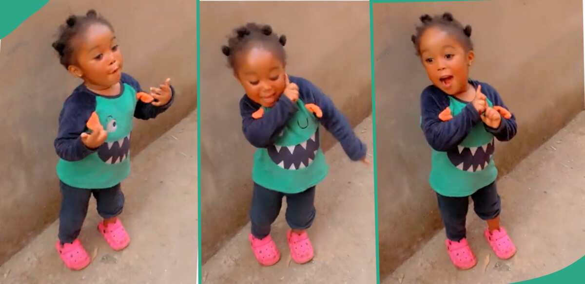 "Can She Be My Friend?" Swagalicious Baby Dances Confidently to Kizz Daniel's Song in Sweet Video