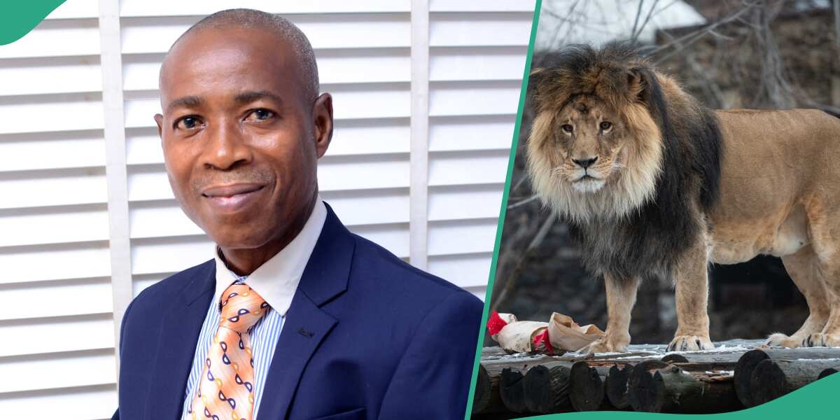 OAU staff killed by lion due for retirement in 2025