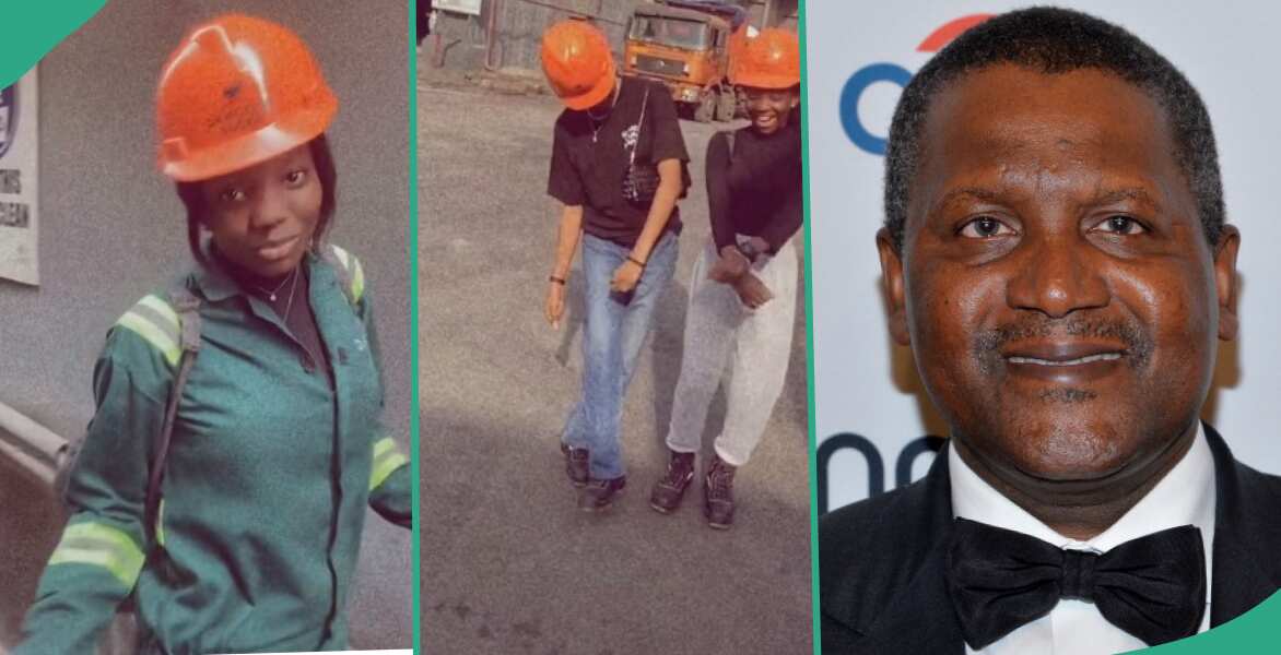 "We Don't See Dangote Everyday": Young Ladies Who Work in Dangote Sugar Refinery Open up in Video