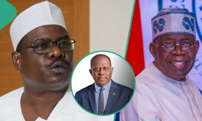 'Tinubu's govt benefiting from dollar rise against naira', Ndume alleges