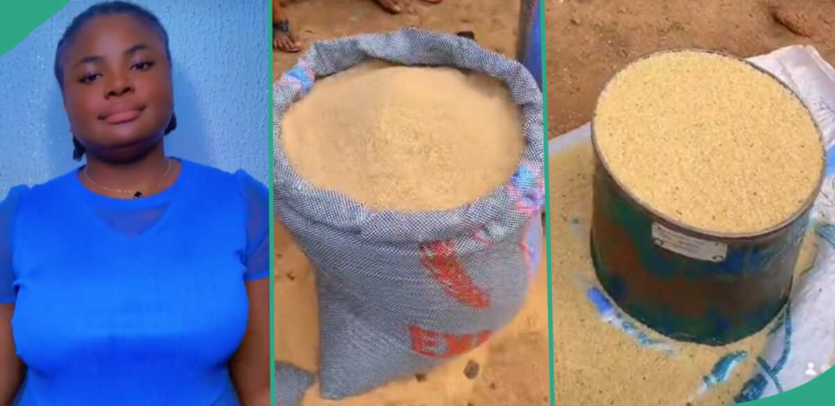 "I Bought One Bushel of Rice For N3,000": Lady Discovers Rural Village in Enugu Where Rice is Cheap
