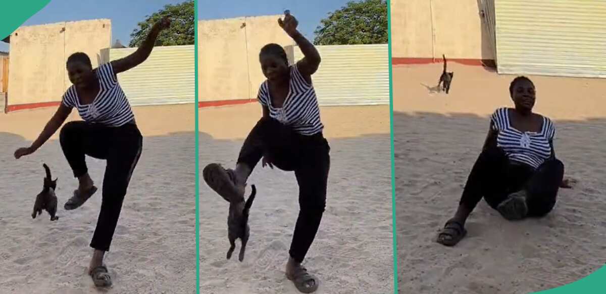 "Is the Cat Okay?" Lady Trips Over Intrusive Cat, Falls While Doing TikTok Dance, Video Goes Viral