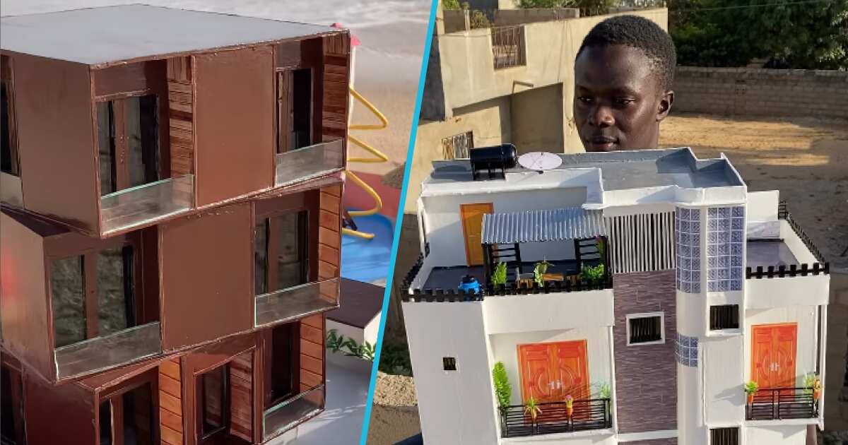 "You're gifted": Talented boy builds "mansion" and "hotel" with cartons, showcases his work