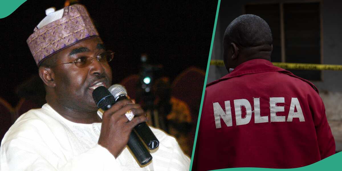 Alleged recruitment: 'Don't fall for scam' – NDLEA warns Nigerians