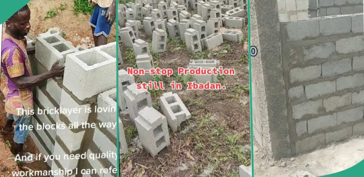 "High Cement Cost": Man Moulds Special Blocks that Consume Less Cement, Shows Them on Site