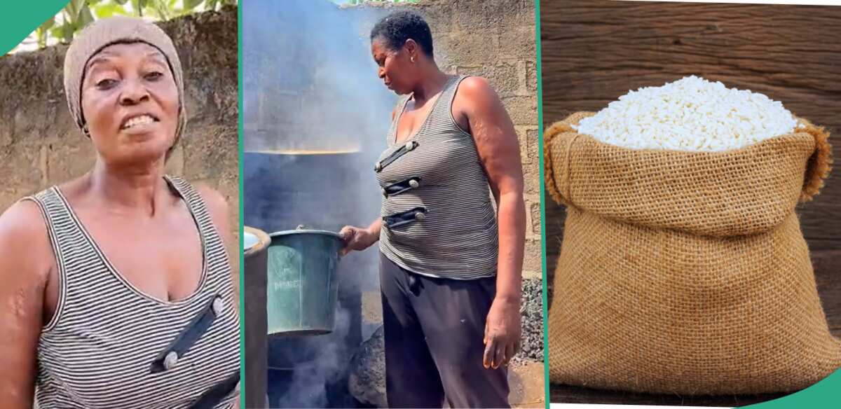"One Bag is N50,600": Hardworking Woman Who Processes Rice Sells at Cheap Price, Works in Her Farm
