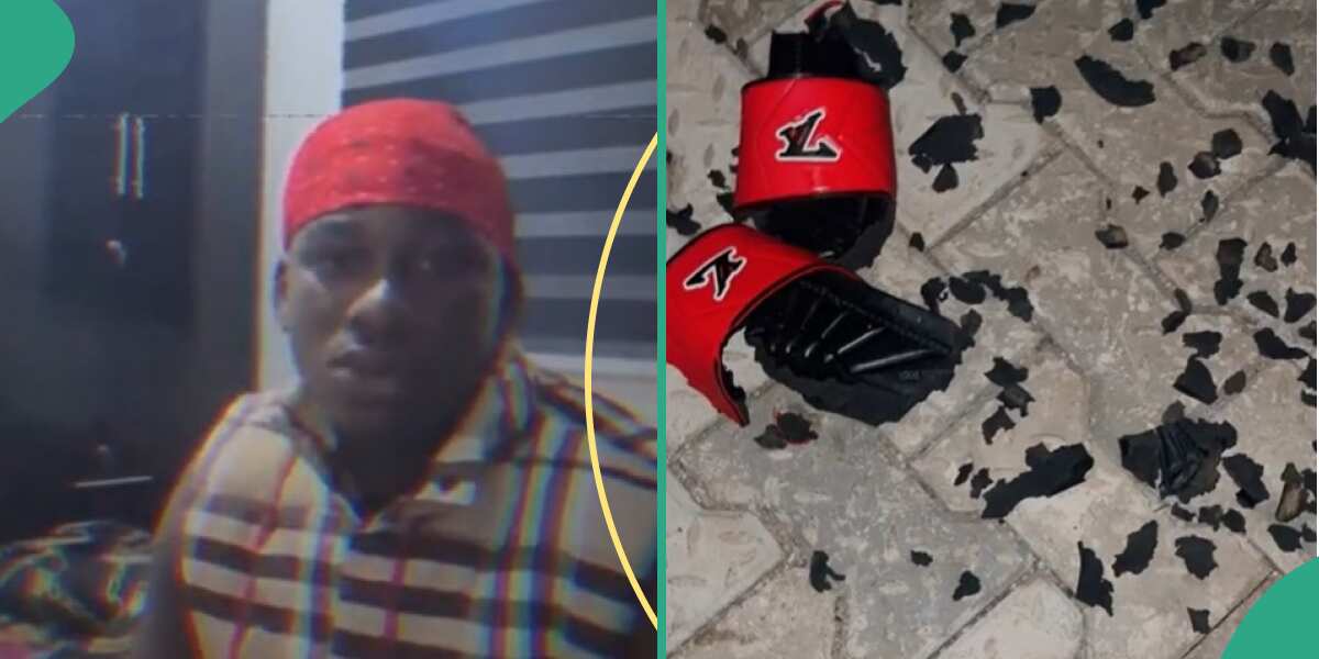 “l wear Ashluxe pam”: Dogs eat up Nigerian man's expensive shoes, he reacts