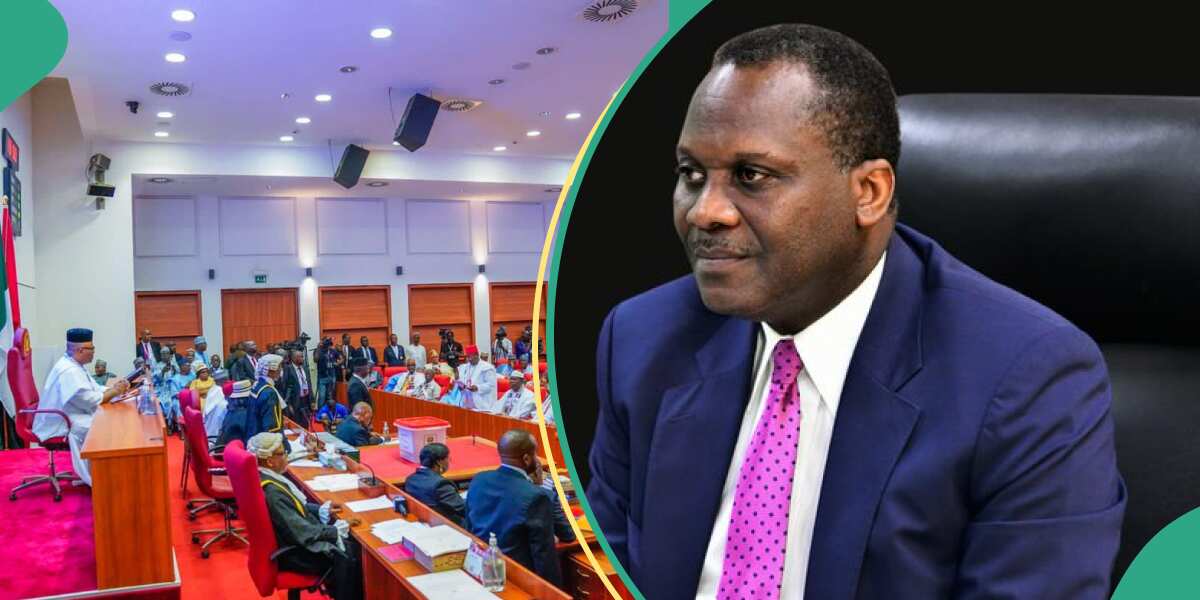 Breaking: Senate approves sack FCCP boss, Babatunde Irukera