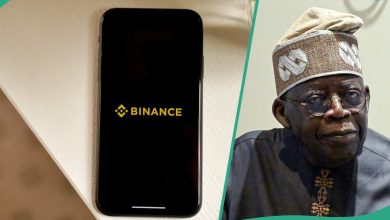 'Crypto companies want to demarket Nigeria's financial system', Garba alleges