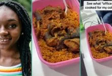 "They Are Doing Things Behind Closed Doors": Lady Cooks Sumptuous Jollof Rice for Male Colleague