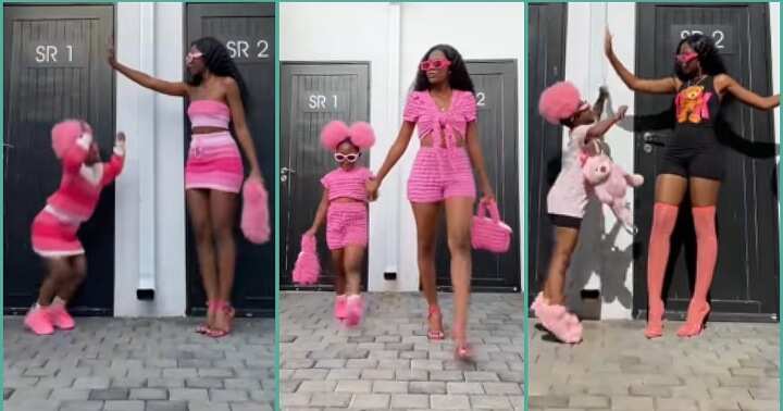 "Now I Want a Baby Girl": Mother and Daughter Rock Similar Outfits in Adorable Video, People React