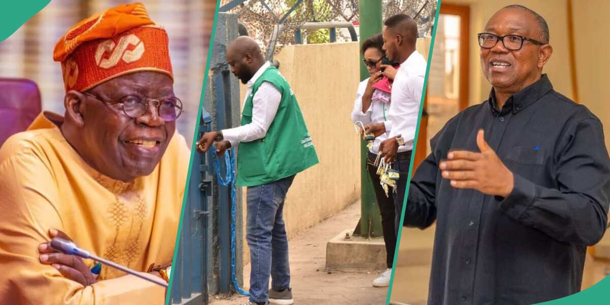 “Avoid Further Show of Rascality”: Peter Obi Reacts As Tinubu’s FG Reopens Popular Abuja Store