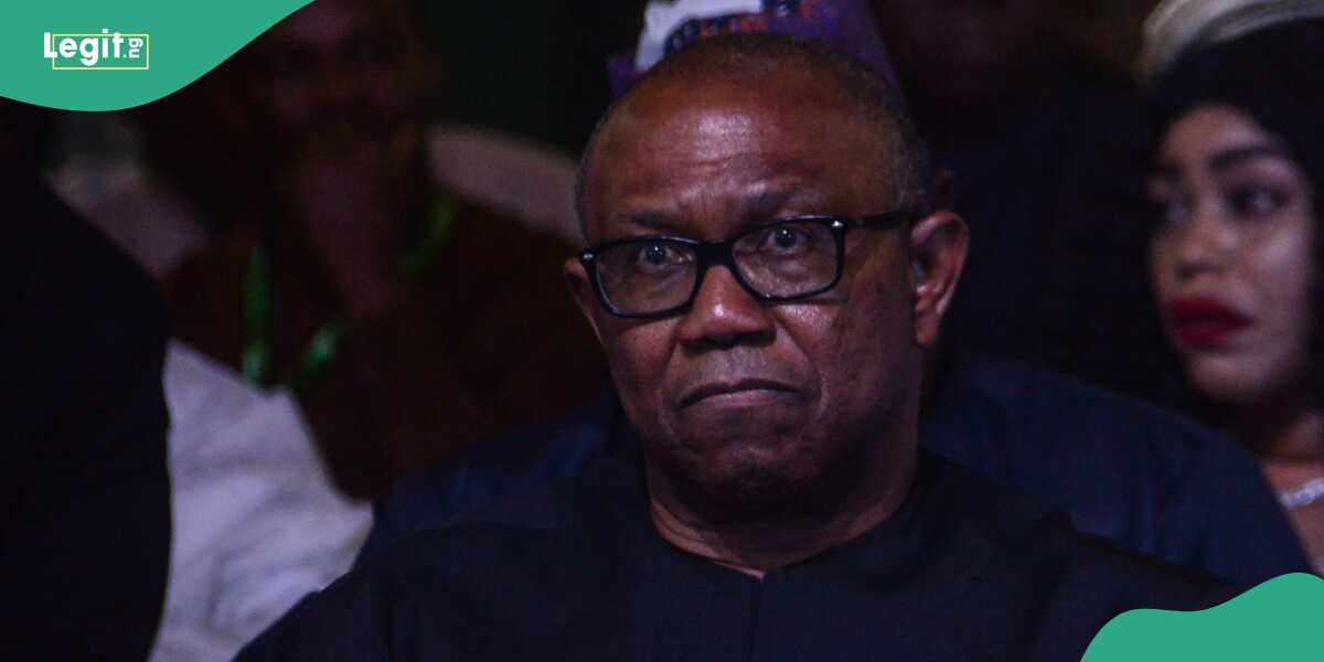2027: Peter Obi Makes Strong Case for Parliamentary System of Govt