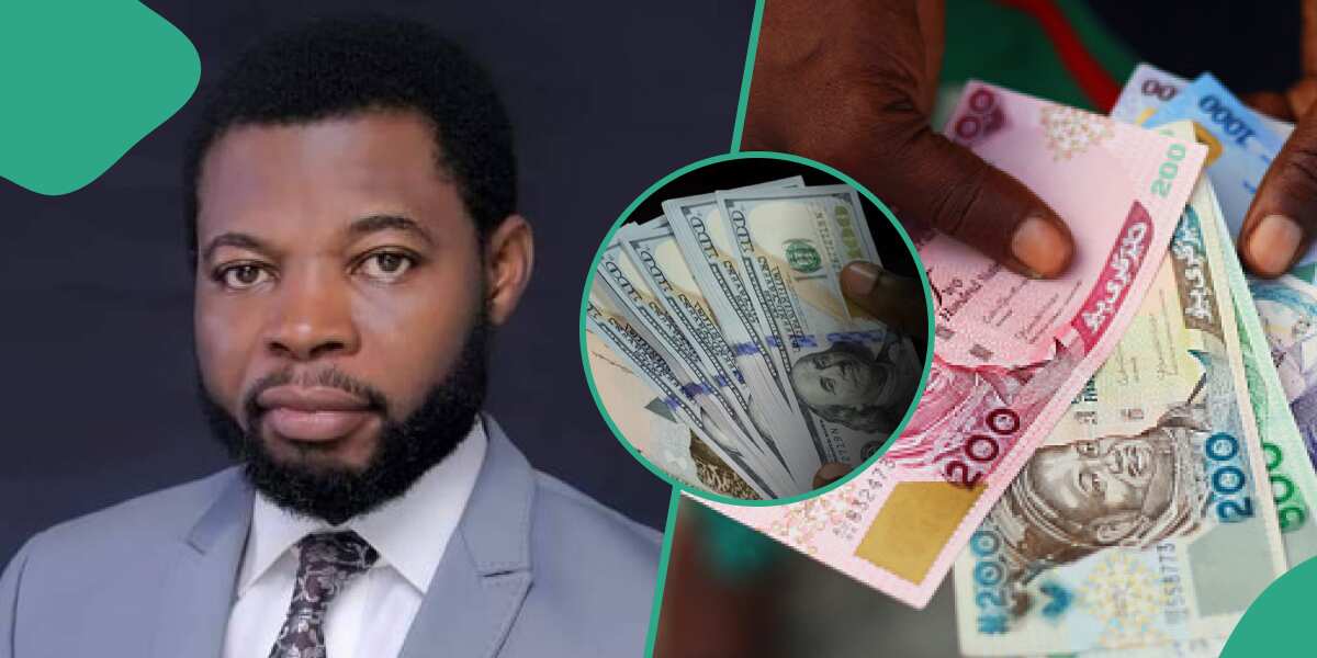 “N100 Will Be Equal to $100”: APC Lawmaker Predicts Naira-Dollar Parity in 16 Years