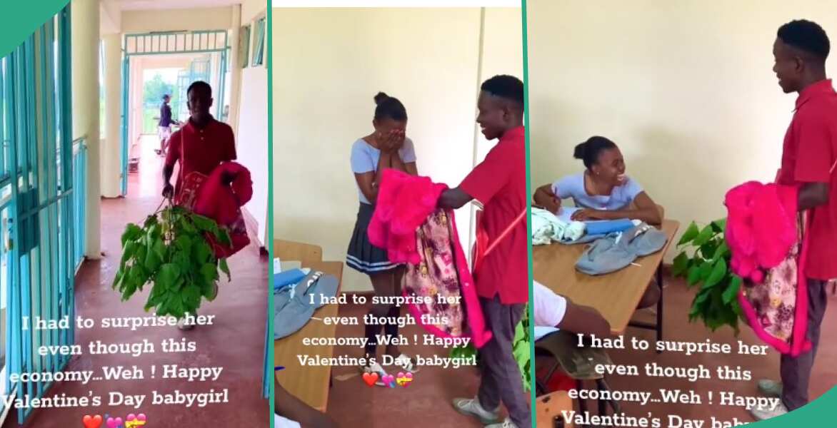 "Understanding Girlfriend": Young Boy Gives His Bae Leaves and Sweater for Val's Day, She Reacts