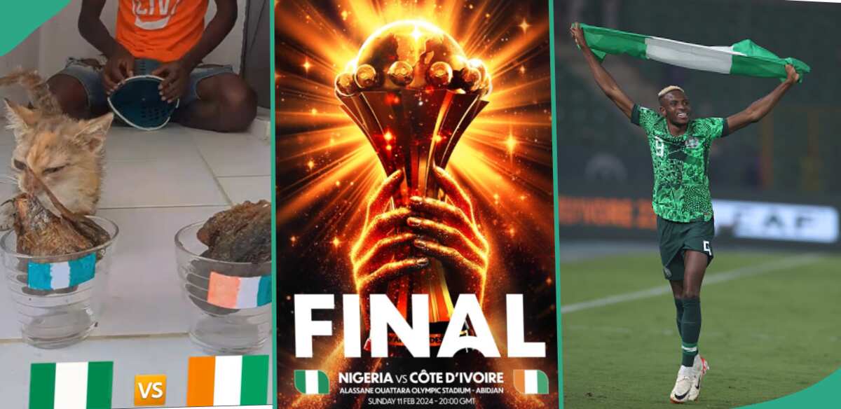 "We Are Winning This Match": Wise Cat Predicts That Nigeria Will Defeat Ivory Coast, Win AFCON Cup