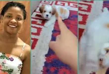 "Somebody save me": Lady cries out after buying 'problematic' puppy