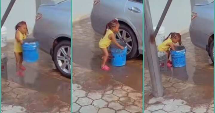 2-year-old toddler washes her mother's car in video