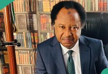 Shehu Sani speaks on 2 northern states that are protected from bandits' attacks