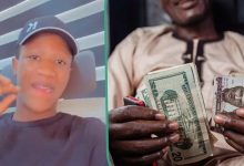 "This crash is just temporary": Forex trader predicts future naira/dollar rate w...