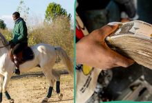 Nigerian man in tears as horse owner collects N42k from him for riding his horse