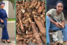 Nigerian lady laments over the massive cassava her dad brought back from farm