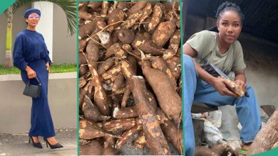 Nigerian lady laments over the massive cassava her dad brought back from farm