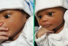 "Trying to accept his fate": Newborn's epic expression after birth goes viral