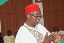 Budget Padding: “I Received N1bn Allocation for Constituency Projects”, Says Sen. Ned Nwoko