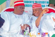 Party Chieftain Speaks on Alleged Dwindling Popularity of Kano’s Ruling Party, NNPP