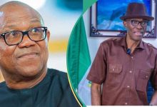 'Labour Party Chairman Should Come From The North', Peter Obi's Ally Says, Gives Reason