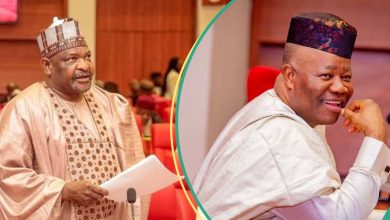 “Get Ready for Legal Action”: Drama As Falana Issues Akpabio 7-Day Ultimatum To Reinstate Ningi