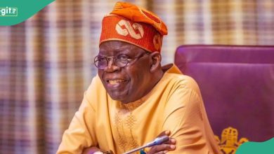 Top APC Stalwarts Groan As Tinubu Appoints Ganduje’s Son, Daughter’s Husband In His Cabinet