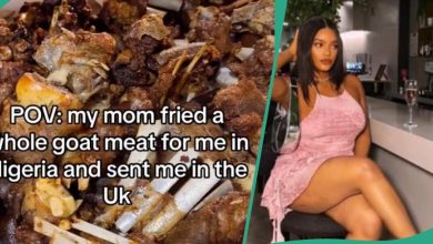 Nigerian Lady in UK Receives Fried Goat Meat All the Way from Nigeria, Sent by Her Mother